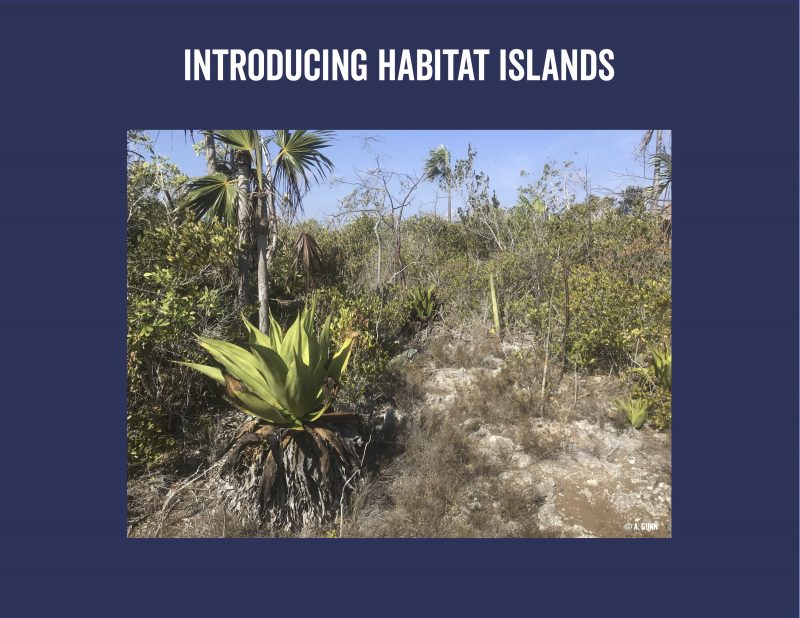 Creating Habitat Islands Wel e to Habitat Island National Trust for the Cayman Islands