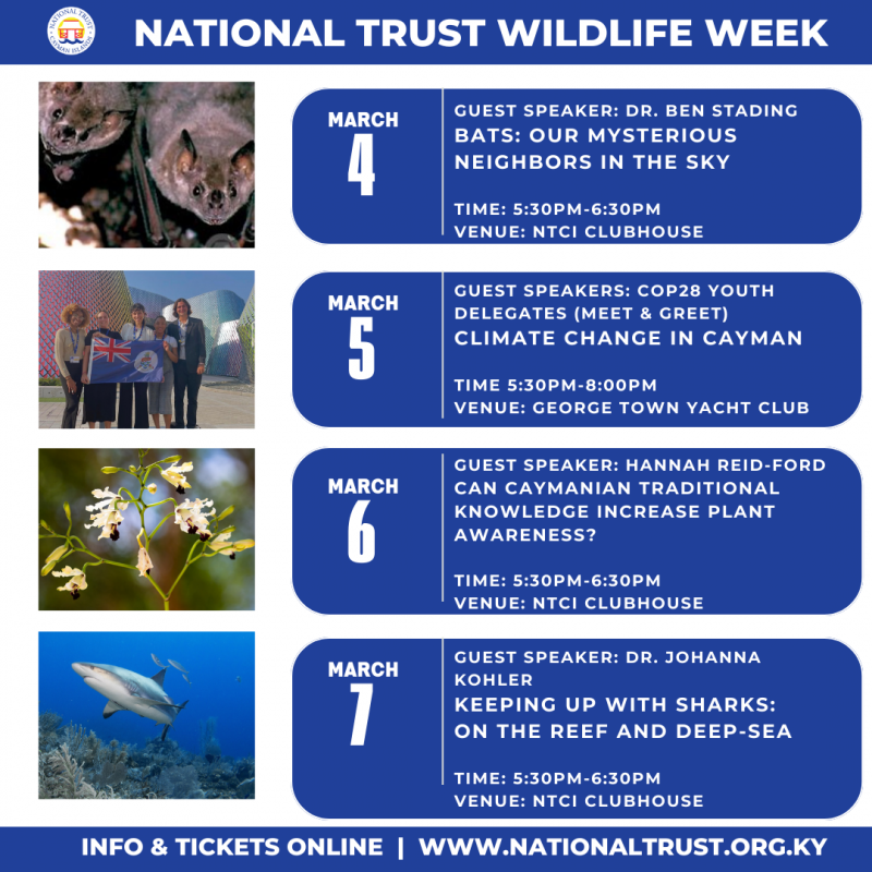 National Trust: Wildlife Week 4th-7th March 2024 - National Trust for ...
