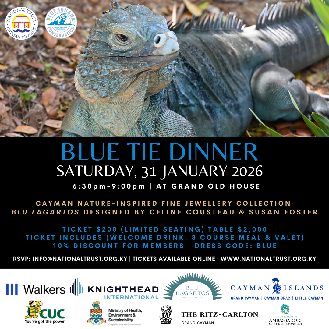 blue grand cayman dress code Let's talk about the official National Dress of the Cayman Islands The  National Dress of the Cayman Islands reflects the simplicity, durability,  and practicality that was essential during the 18th and 19th